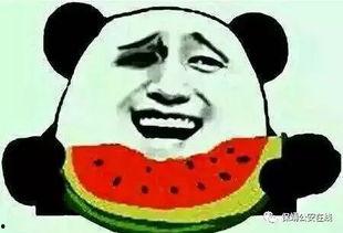 吃瓜拘留,拘留背后的法律警示