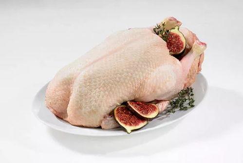 吃货主播鸭瓜,解锁味蕾新体验