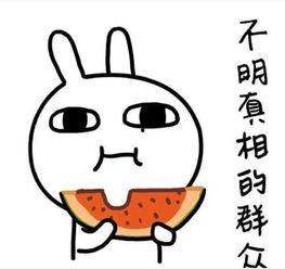 热衷吃瓜文案短句搞笑