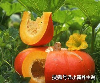 中年吃瓜,品味生活百态，笑对人生无常