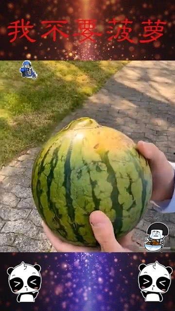 吃瓜把西瓜给扔了,一场意外的瓜果奇遇