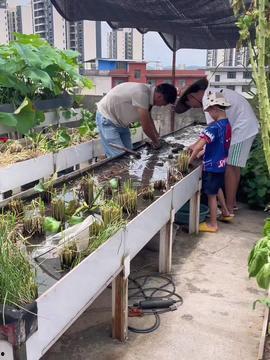 西瓜演技大赏吃瓜,年度吃瓜盛宴，盘点娱乐圈精彩瞬间