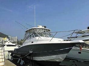 深圳游艇吃瓜事件,一场吃瓜群众的全民围观