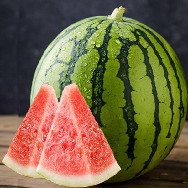 夕冉内部吃瓜,揭秘吃瓜背后的真相与内幕