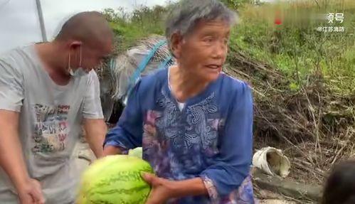 梦见老奶奶摘瓜送我吃瓜,老奶奶摘瓜赠食的温馨记忆
