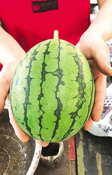 吨瓜怎么吃,创意无限的美味探索