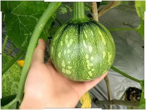 吃瓜小笙,揭秘娱乐圈那些不为人知的幕后故事