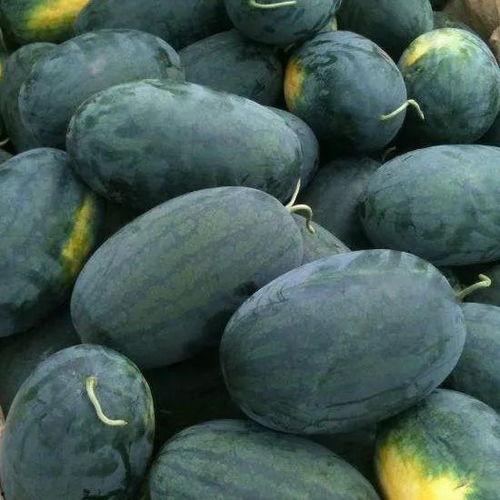 吃瓜看瓜,揭秘吃瓜看瓜背后的趣味人生