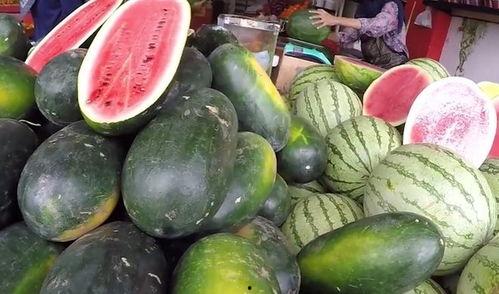 中国韩国意大利吃瓜,中国、韩国、意大利瓜果飘香