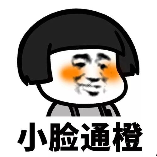 别吃瓜吃一半,揭秘“别吃瓜吃一半”背后的真相与启示